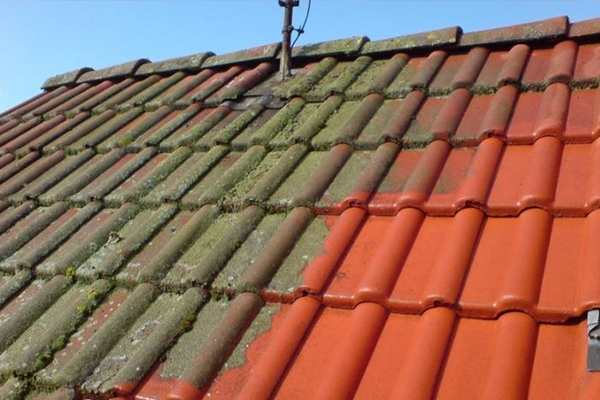 Dachreinigung in Hannover - Dach & Fassadensanierung Richter